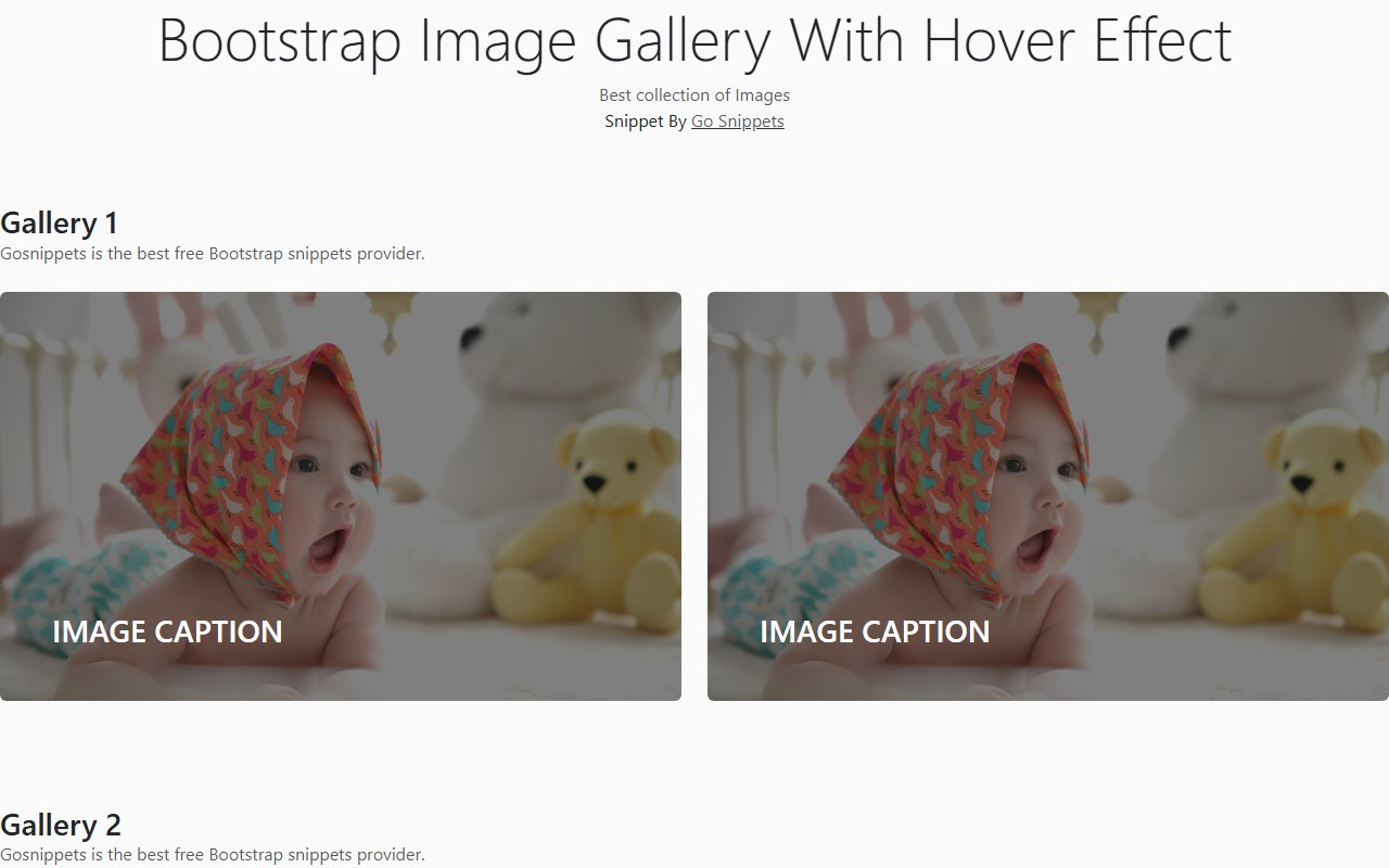 Bootstrap Image Gallery With Hover Effect — Bootstrap 5 snippet preview